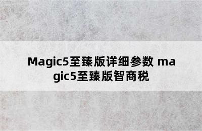 Magic5至臻版详细参数 magic5至臻版智商税